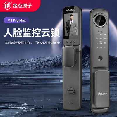 金点原子人脸监控智能云锁C级防盗指纹锁人脸锁刷卡监控智能远程门锁M1 金点灰